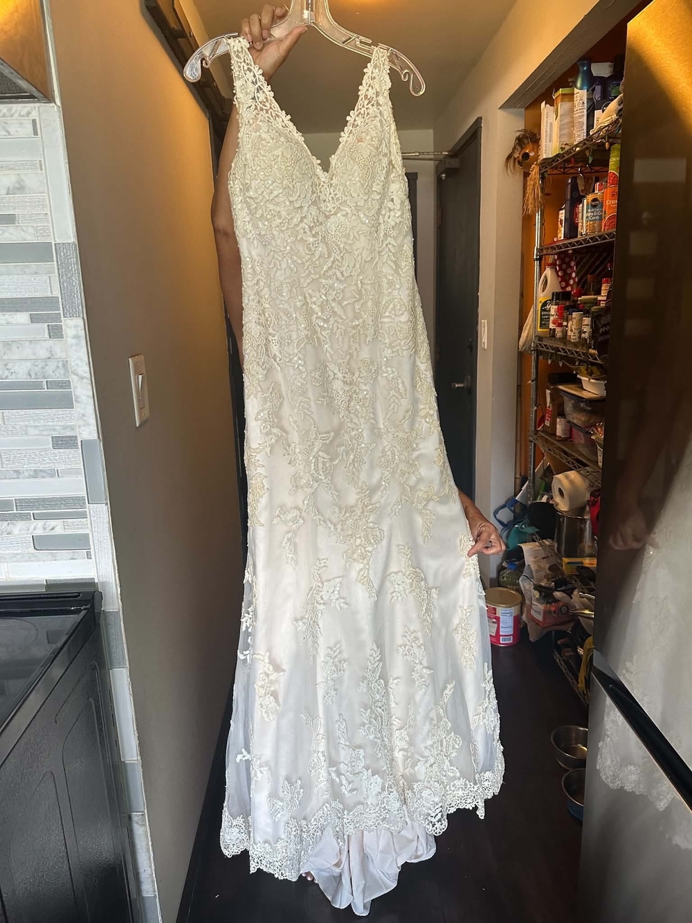 Lace V-Neck Wedding Dress